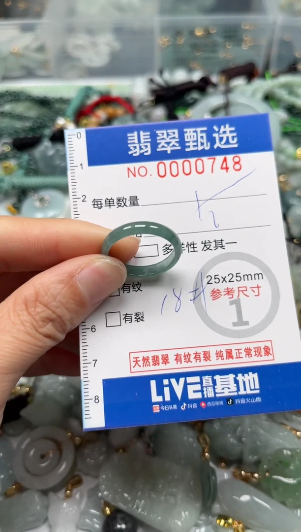 【闪购商品】翡翠颈饰未镶嵌00..0748