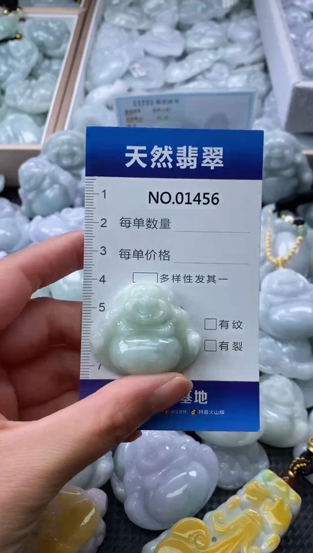 颈饰未镶嵌翡翠全场天然A货翡翠1456