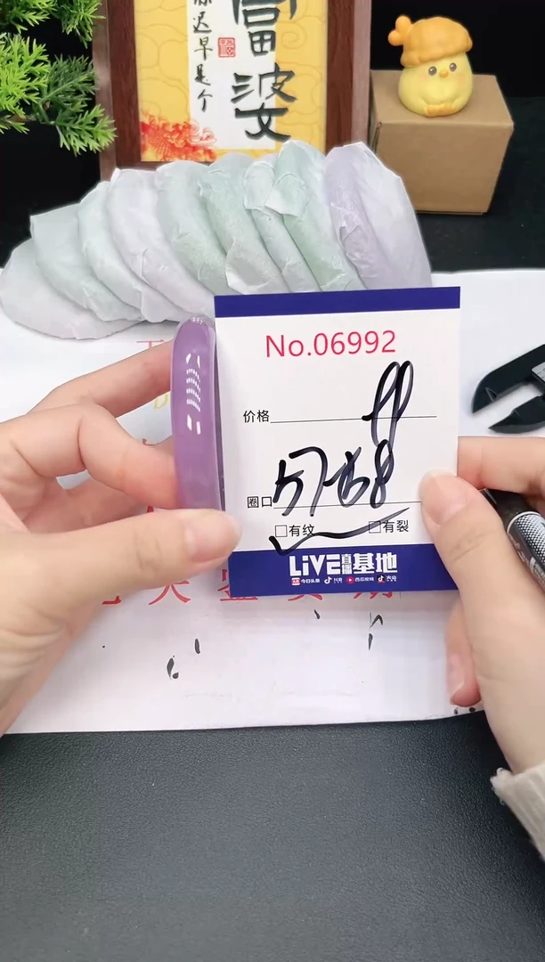 未镶嵌手镯翡翠6992