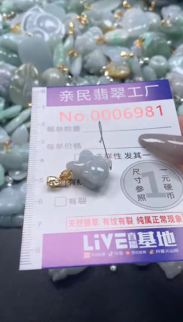 颈饰未镶嵌翡翠6981