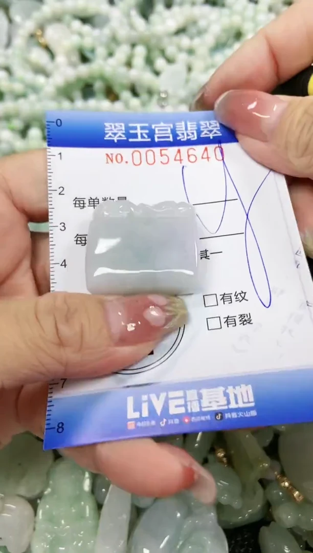 【闪购商品】翡翠颈饰未镶嵌闪购0054640