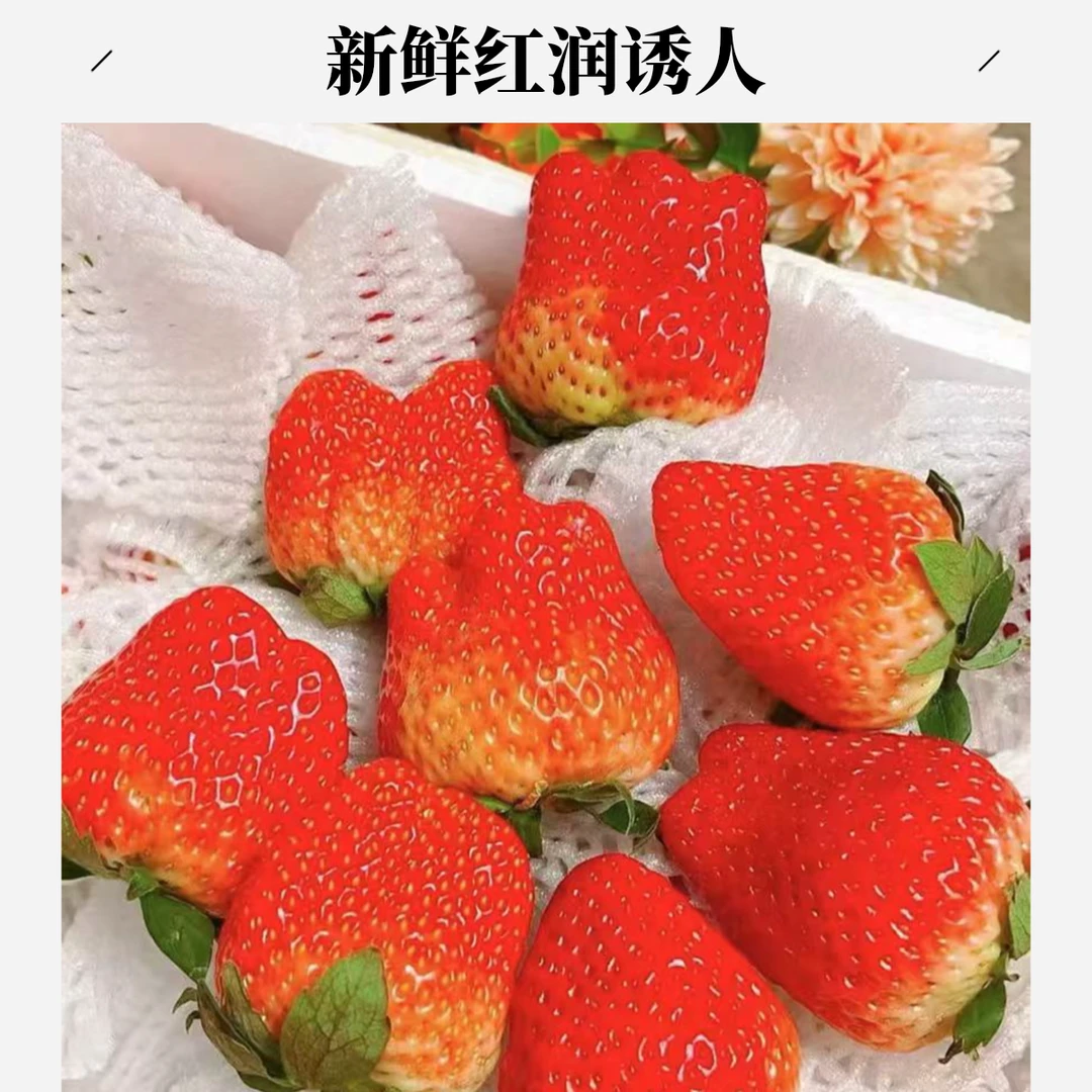 【专属福利】丹东99草莓 软糯香甜 毛重2斤 京东包邮 99红颜中国大陆