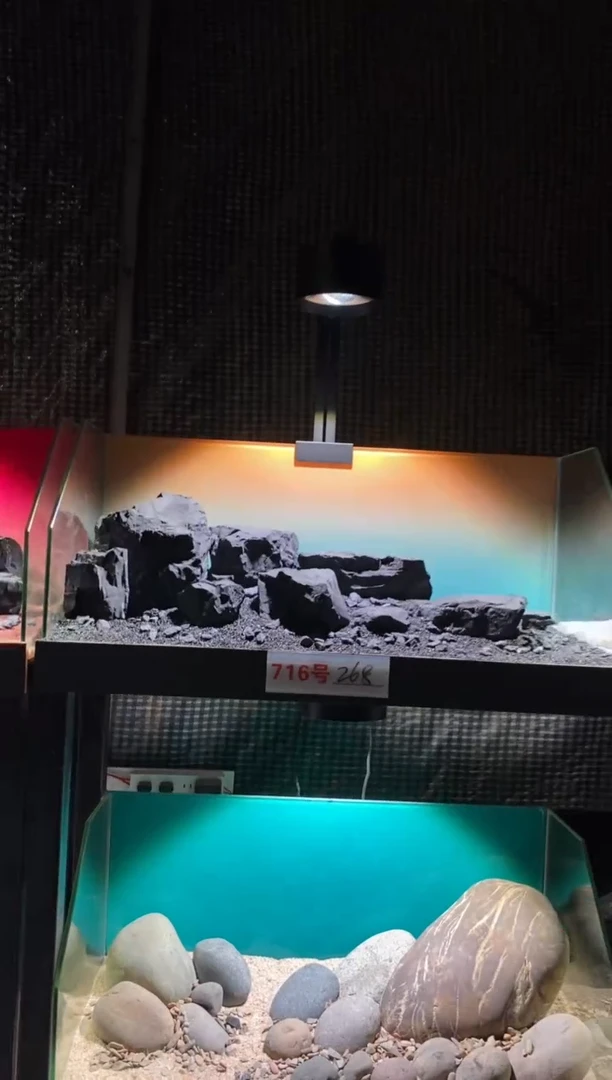 716号鱼缸造景（不含底砂）