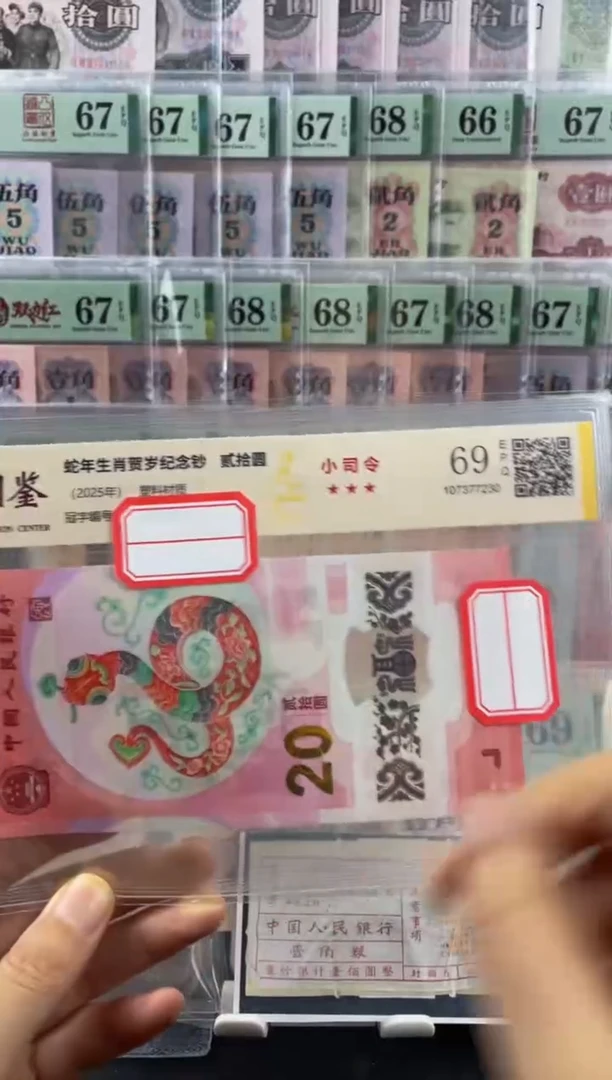 蛇副司令69分不挑号随机发