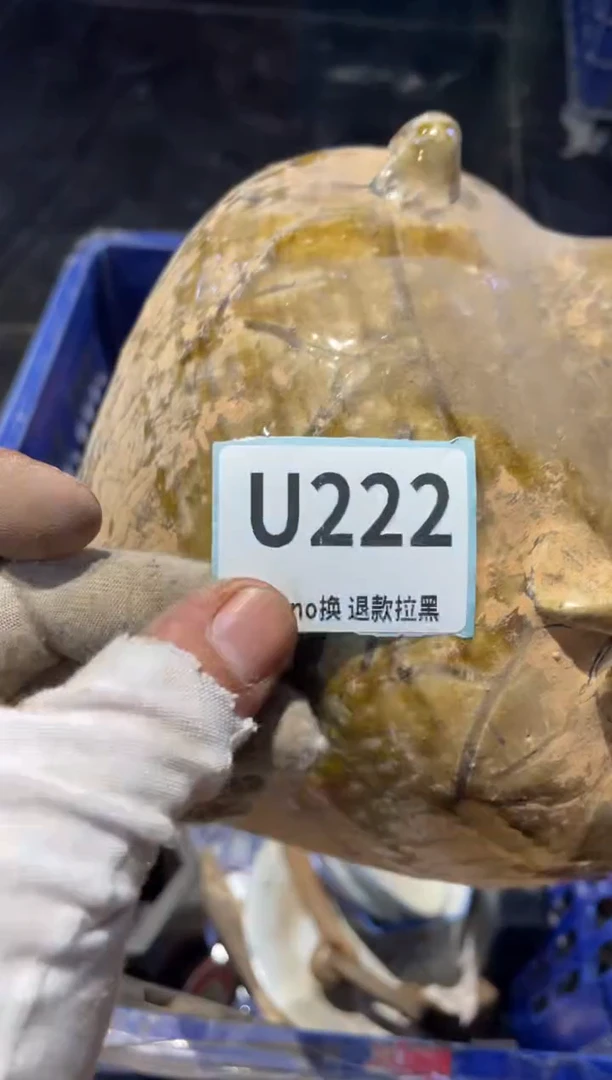 瓷片明**白表弟直播链接火爆
