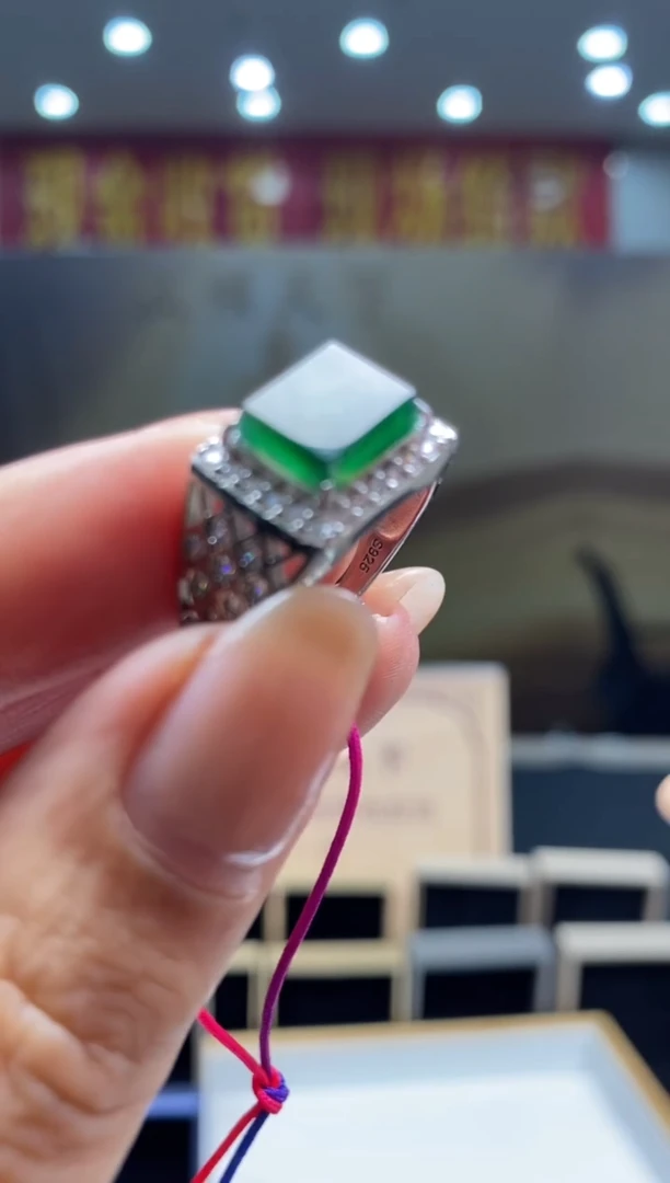 【闪购商品】翡翠颈饰未镶嵌********137