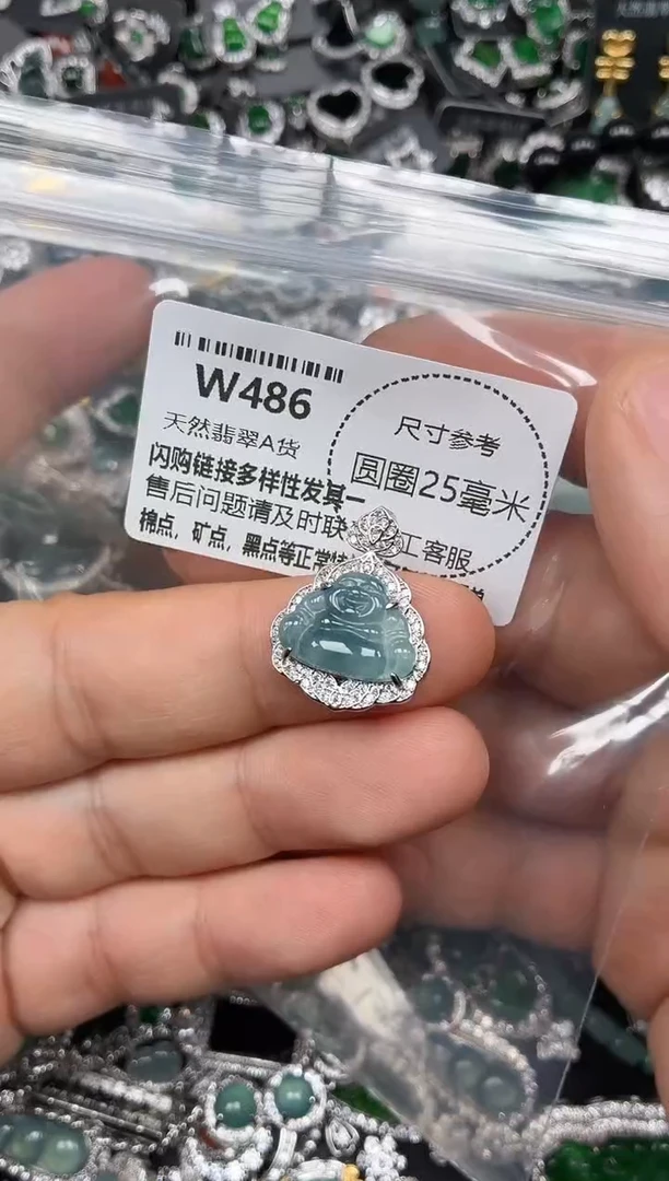 翡翠未镶嵌颈饰W486吊坠