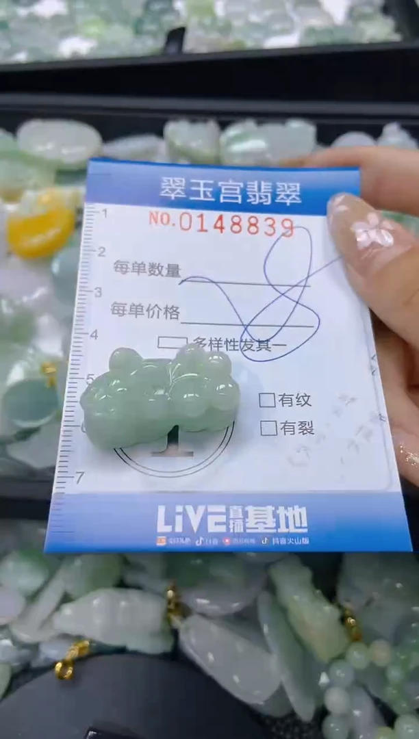 翡翠未镶嵌颈饰闪购0148839