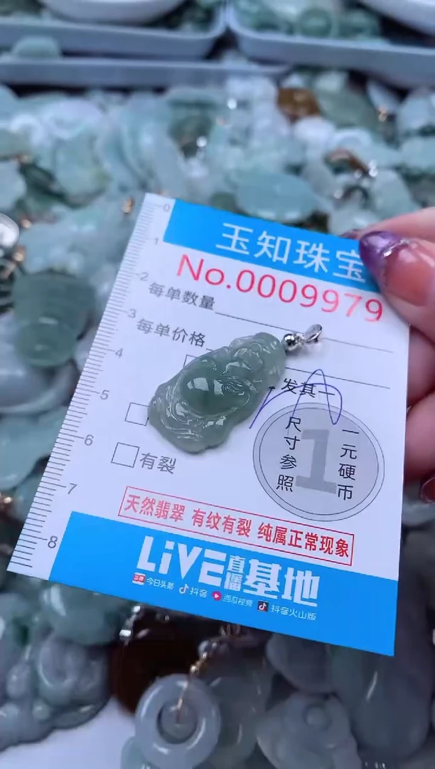 翡翠未镶嵌吊坠(不含链)9979