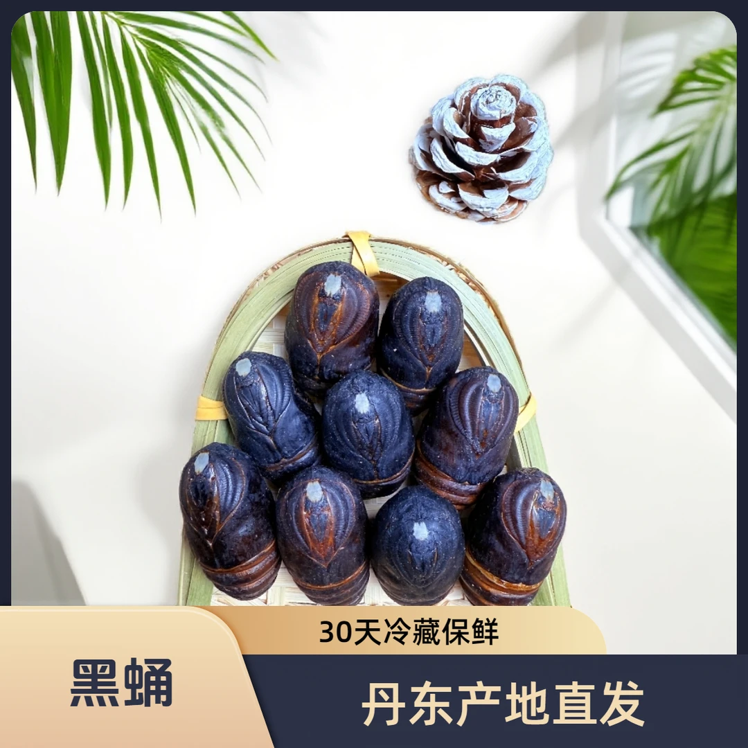 丹东凤城产地直发新鲜柞树大黑蚕蛹蝉蛹补充高蛋白高营养东北