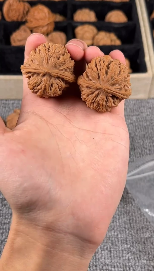 吊坠文玩核桃全品40+野蝉21号