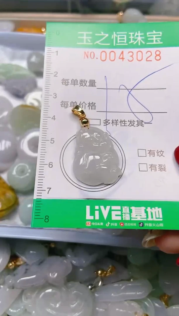【闪购商品】翡翠颈饰未镶嵌闪购0043028