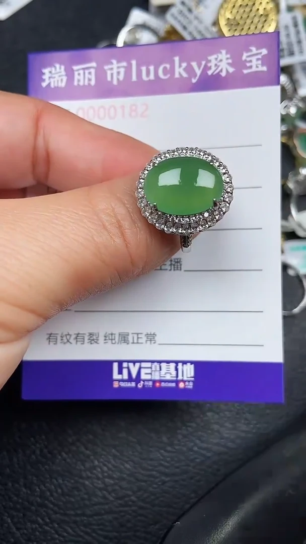 颈饰未镶嵌翡翠0182