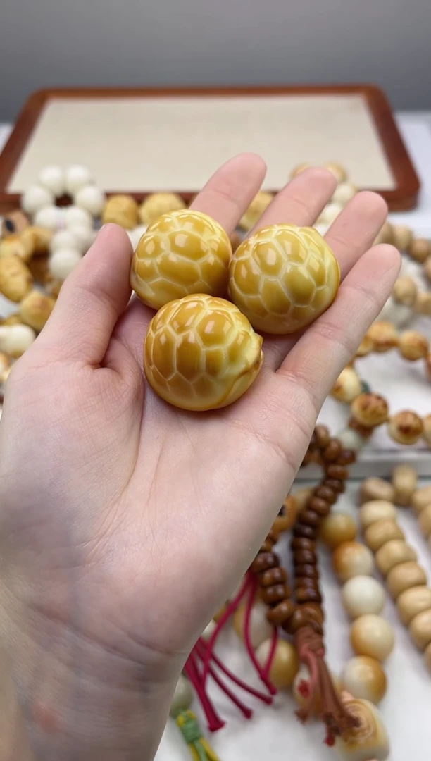 吊坠菩提根/象牙果象牙果富甲天下30mm+单颗