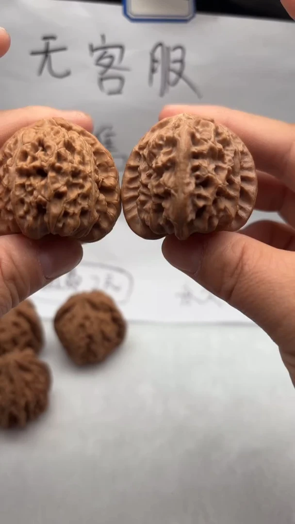 把件文玩核桃117白狮子