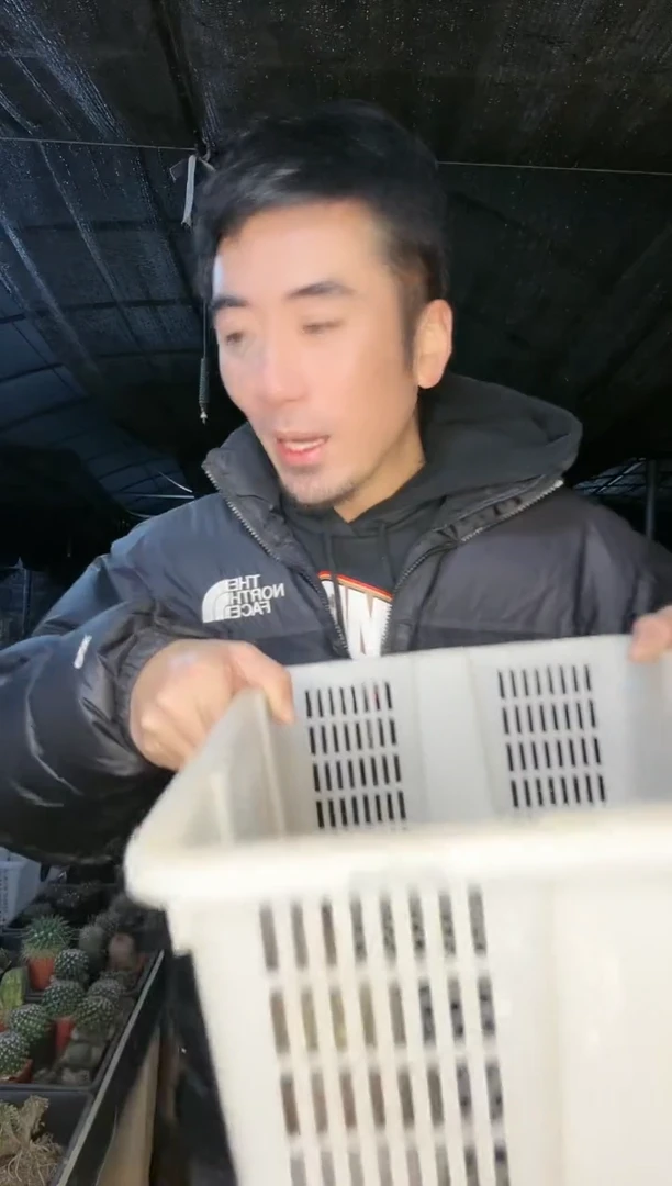 【闪购商品】筐拍 21号 混乱玉加白晃天玑加春秋之湖