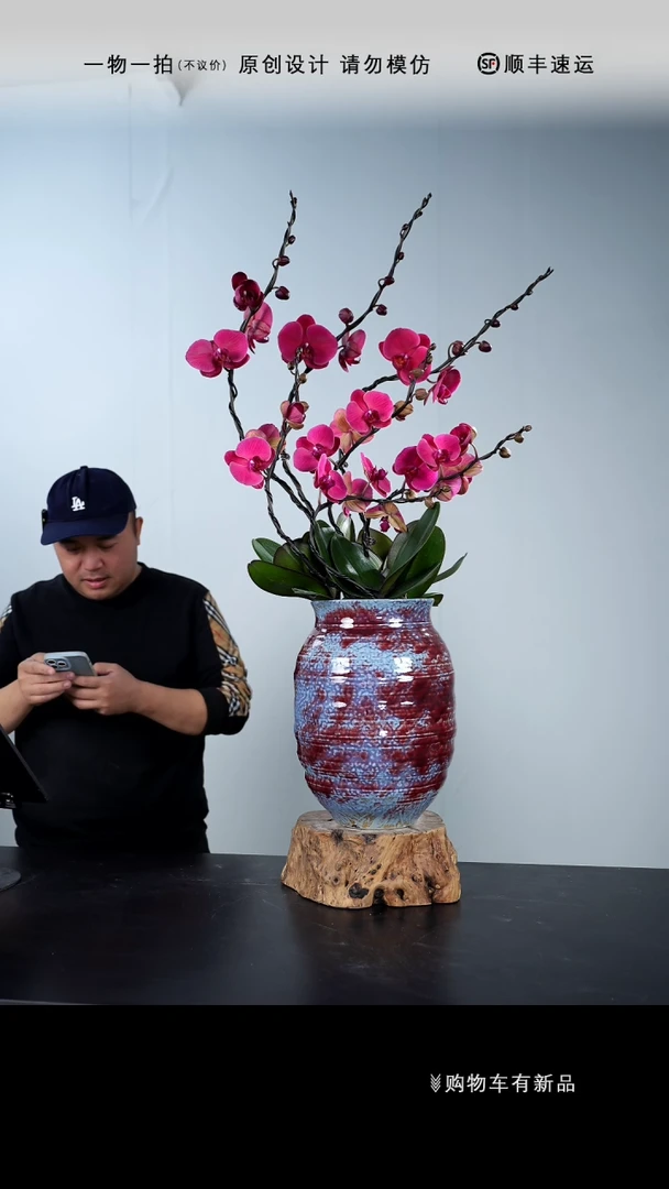 【闪购商品】136号链接【一物一拍】艺术盆景