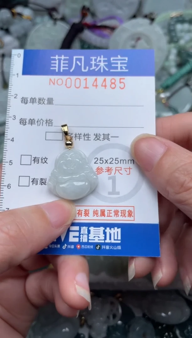 颈饰未镶嵌翡翠14485