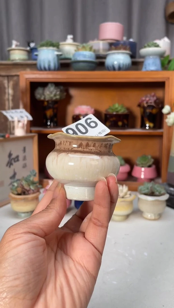瓷片906小芳直播编号