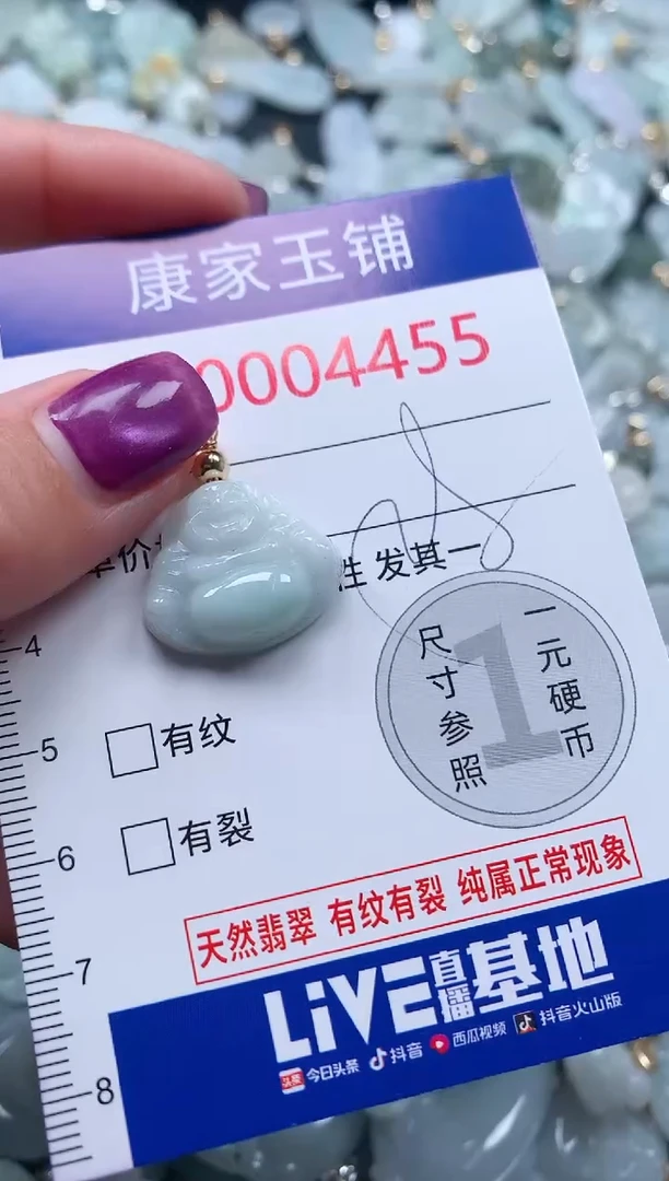 颈饰未镶嵌翡翠4455
