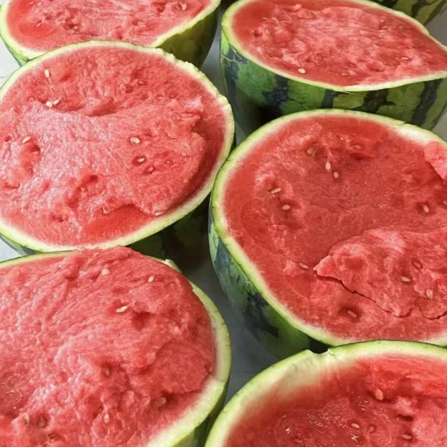 【鹏程甄选】麒麟西瓜（软白籽）4-12斤  粉红瓤 介意勿拍