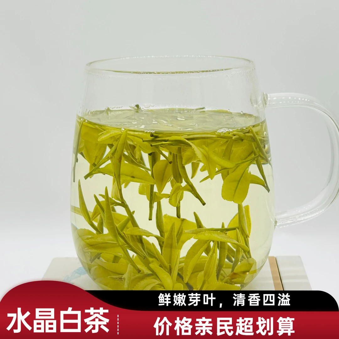 峰露源（高档水晶白茶）2025明前/春茶/水晶白茶——福利款