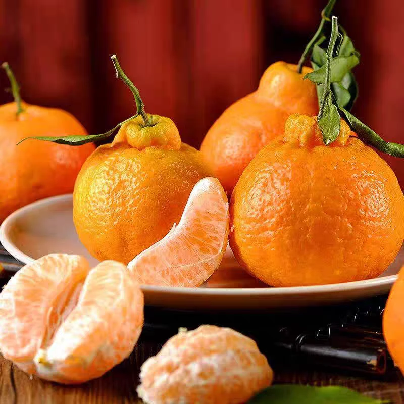 【达吾水果】头茬丑橘6斤特惠尝鲜装（同城骑手配送到家）四川省