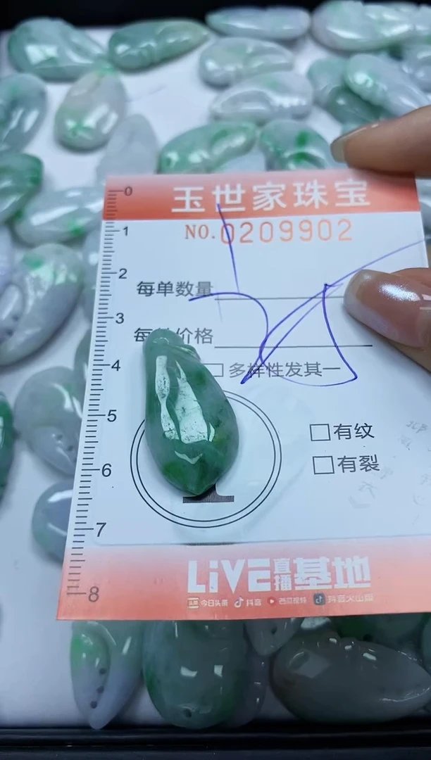 【闪购商品】翡翠颈饰未镶嵌闪购0209902