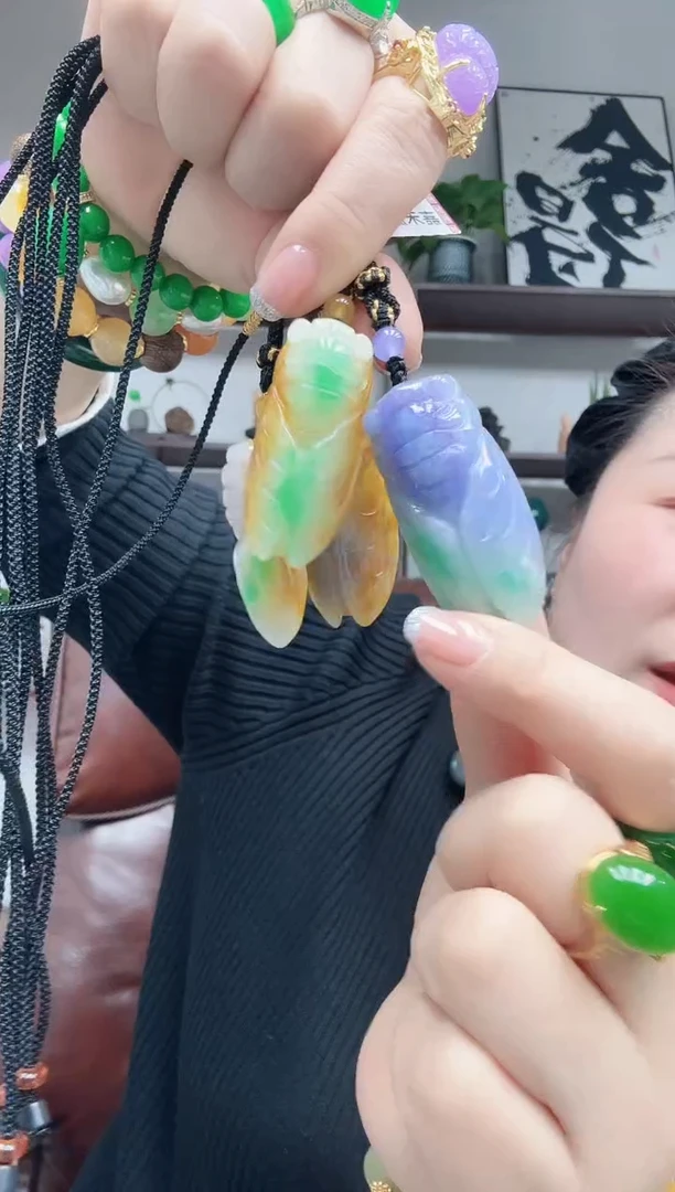 吊坠(赠链)未镶嵌翡翠一鸣惊人（随机）