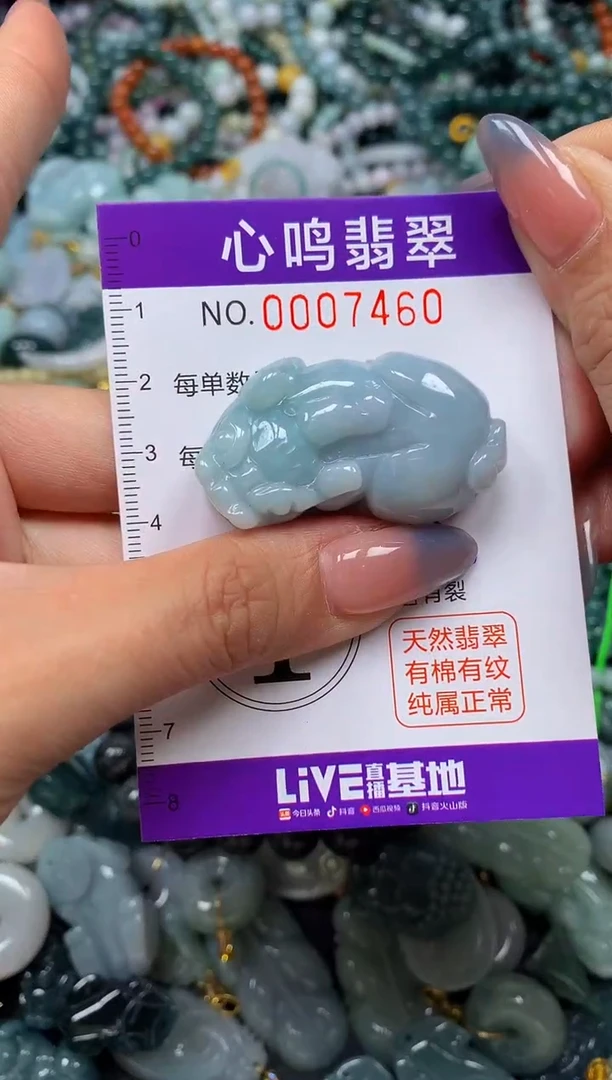 颈饰未镶嵌翡翠闪购007460
