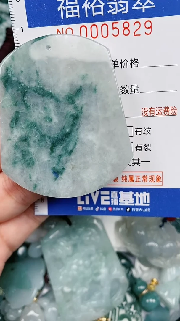 翡翠未镶嵌颈饰...0005829
