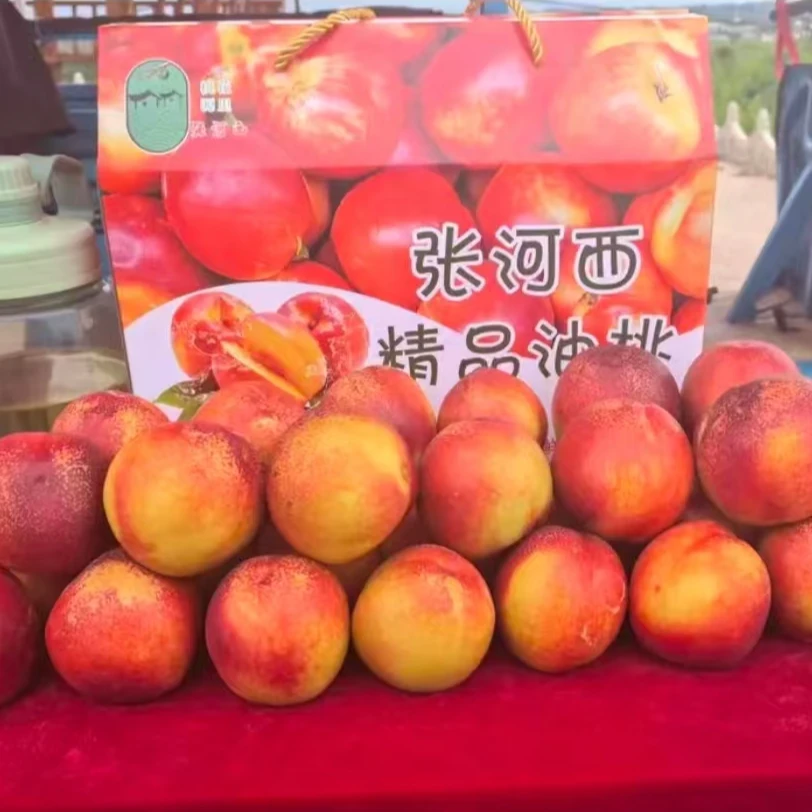 【花之洲】甘肃临夏高原2000米黄心油桃  应季现摘现发 产地直发