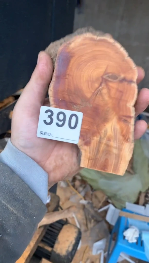 【闪购商品】柏木太行陈化崖柏（津诚林）切片