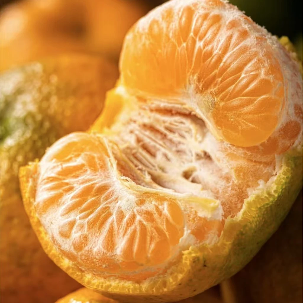 四川通江毛浴芦柑