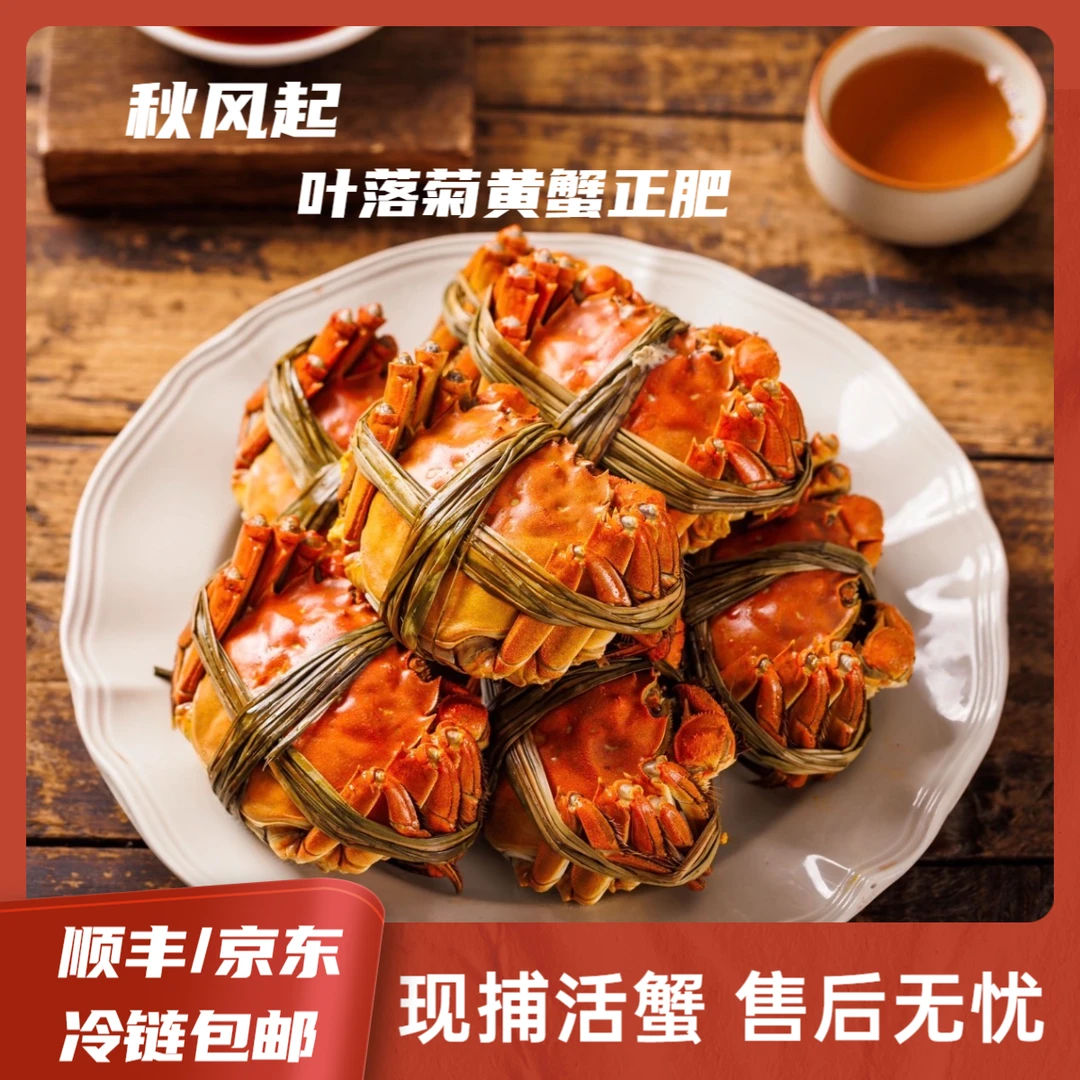 【活蟹  现发】江苏鲜活大闸蟹 公蟹4.1-3.7两 母蟹3.1-2.7两 10只