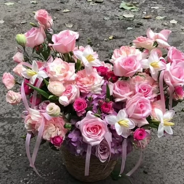 守护粉玫瑰郁金香苏菲宝贝抱抱桶
