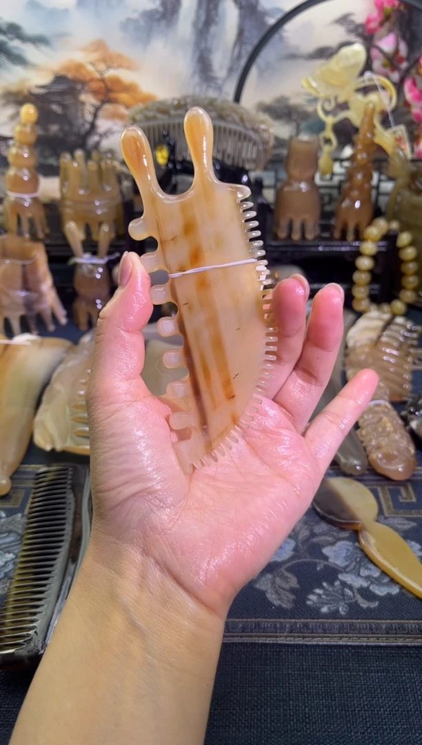 云南老白水小怪兽