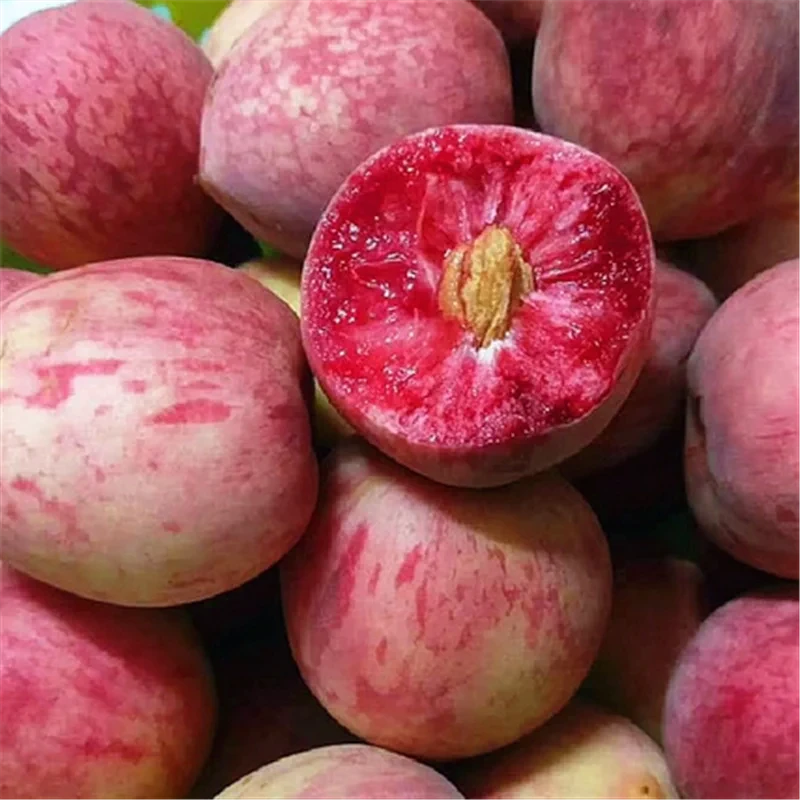 湖北孝感正宗胭脂红血桃｜应季新鲜水果