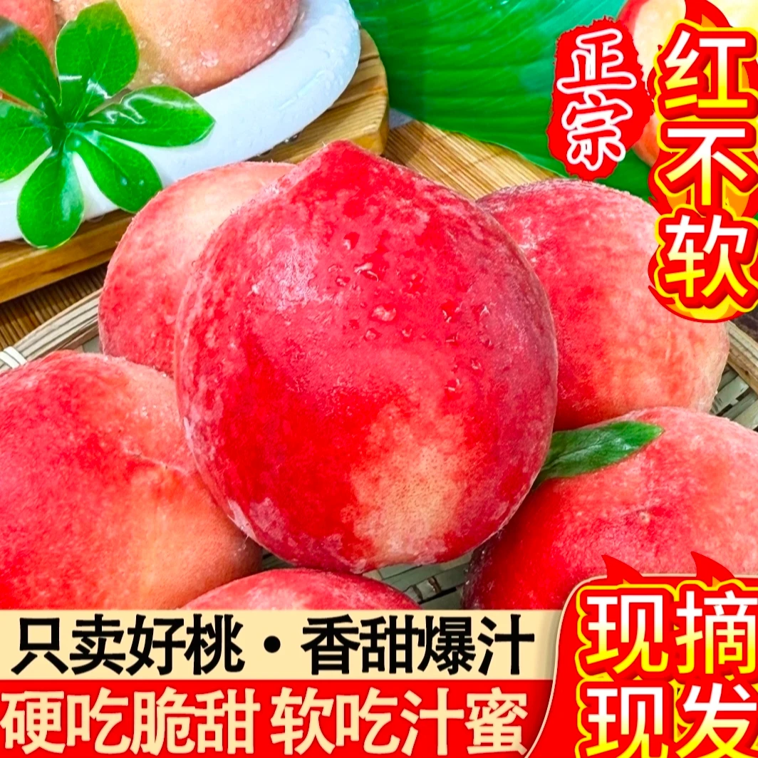 【现摘现发】红不软脆桃甜产地直发应季水果树上自然熟坏果包赔
