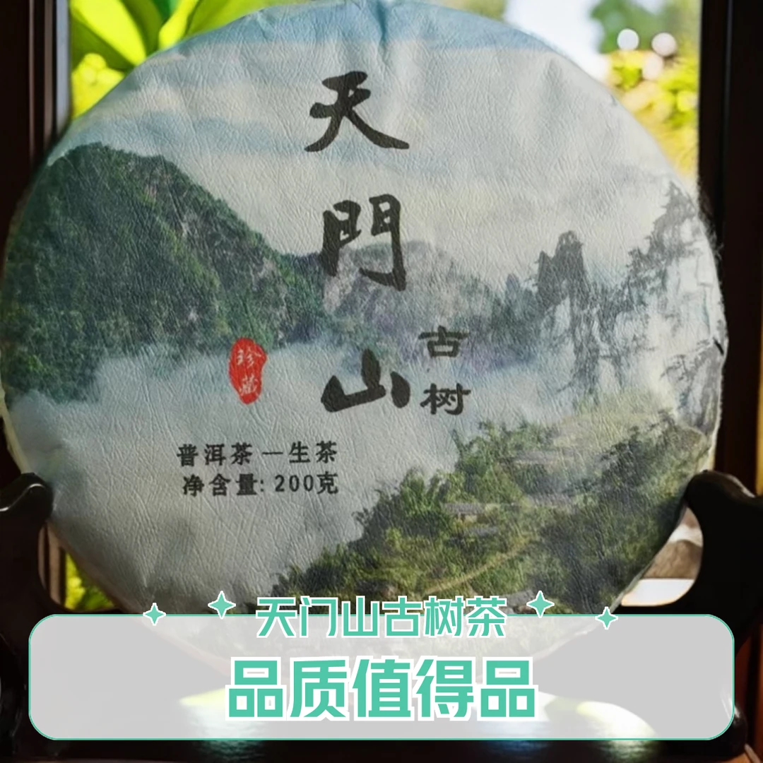 23年天门山古树茶 饼茶
