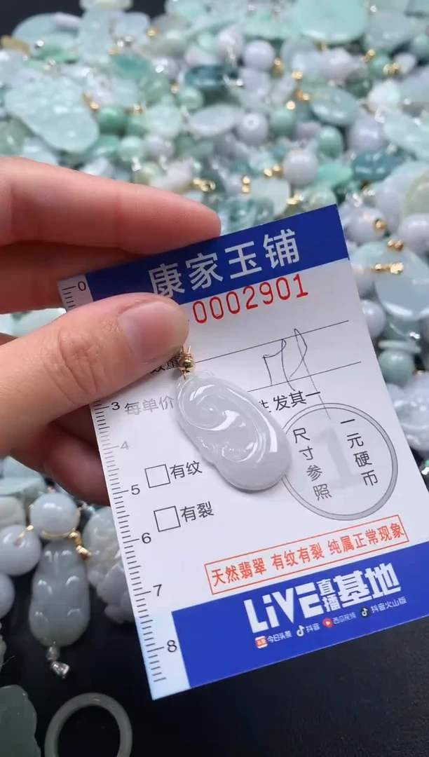 颈饰未镶嵌翡翠2901