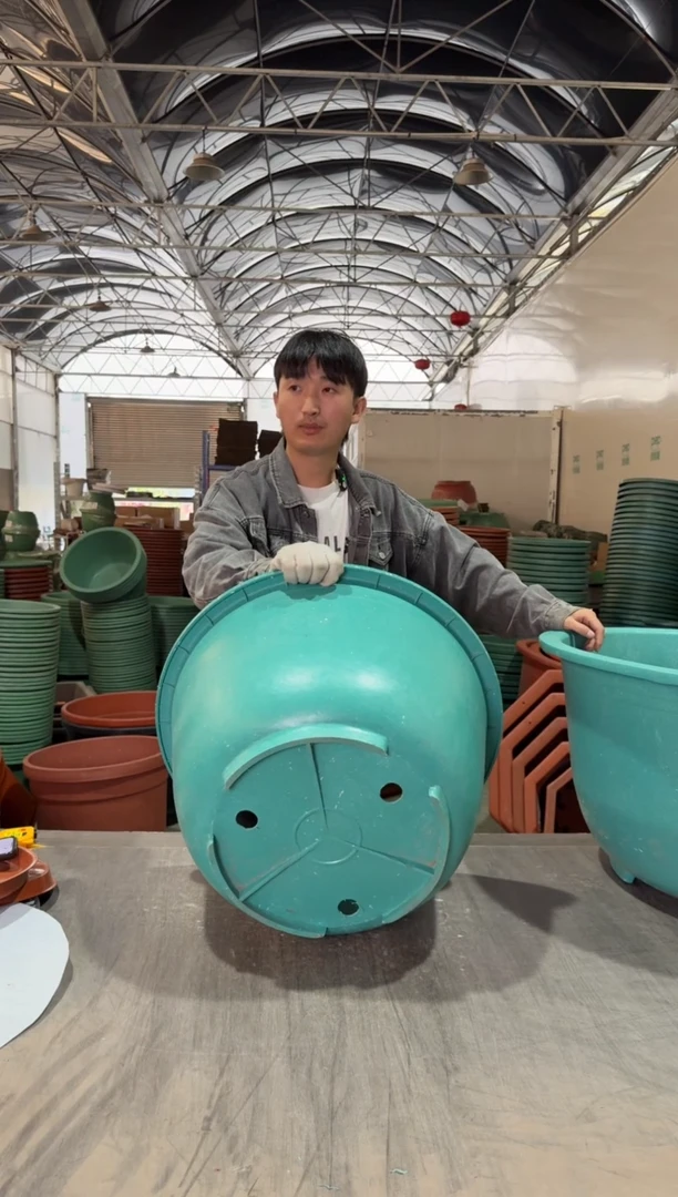 【闪购商品】复合60口径浅龙盆5个，托盘5