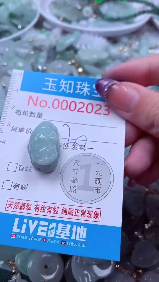 翡翠未镶嵌吊坠(不含链)2023