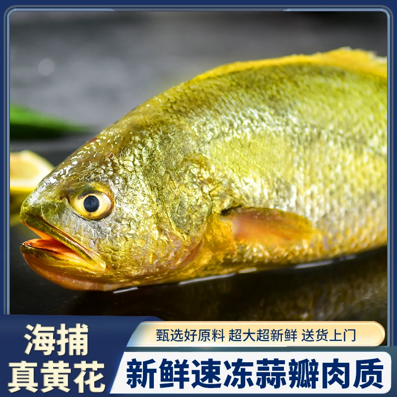 【特大无冰衣】正宗黄花鱼深海大黄鱼鲜活速冻黄花鱼300-400g/条*5