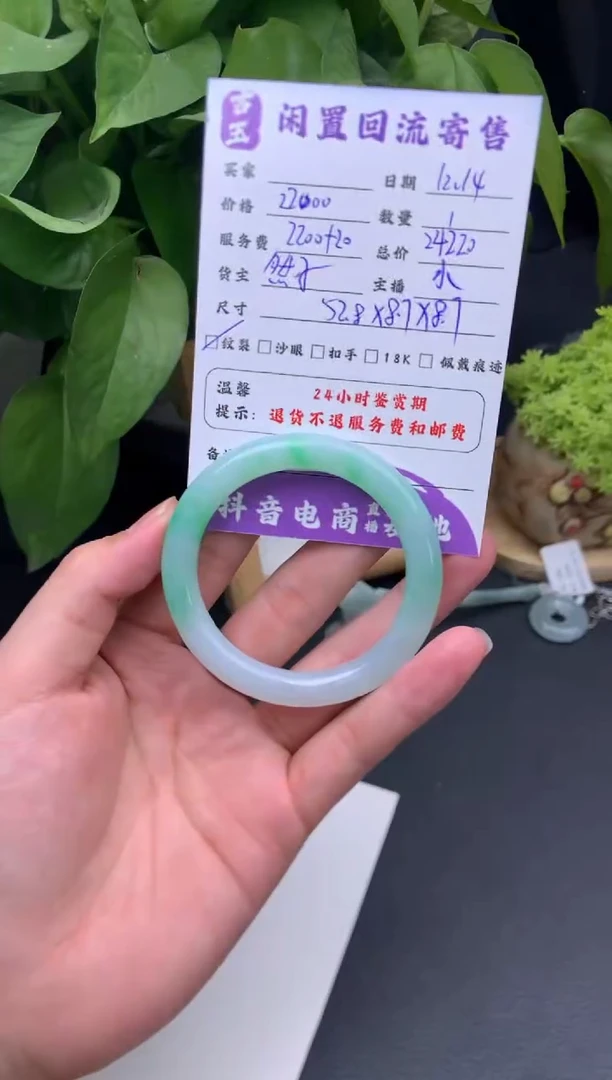 未镶嵌手镯翡翠手镯