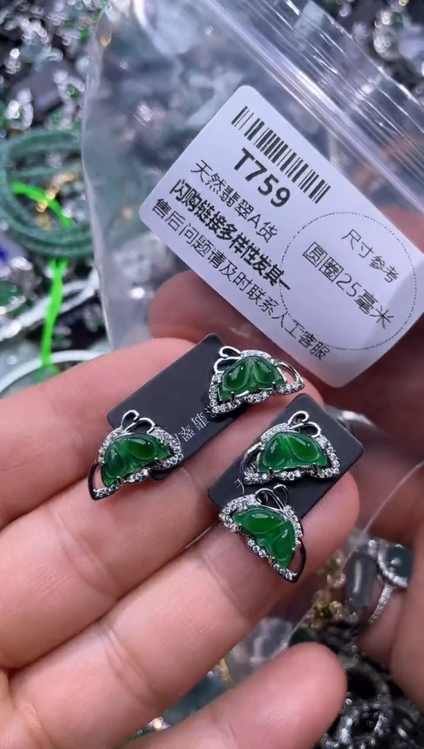【闪购商品】翡翠颈饰未镶嵌T759耳钉 多样性发其一