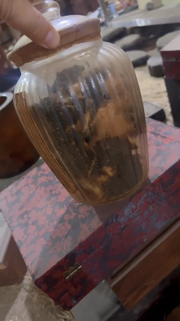 紫砂紫砂紫砂紫砂