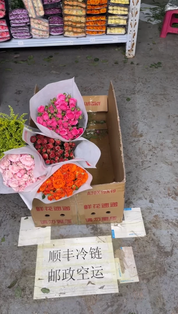 折射10枝+橙色芭比10枝+巧克力10枝+苏菲10枝+黄莺
