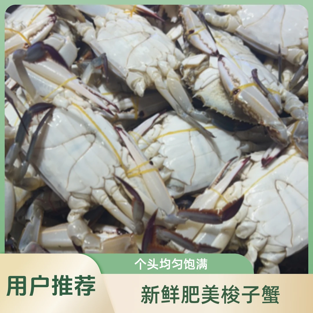 海蟹59/到手约3斤通货大小包鲜不包活蟹同城送