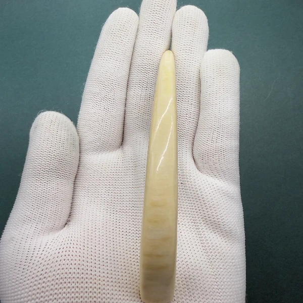 E6229天然猛犸牙牙尖支持鉴定 假一罚四